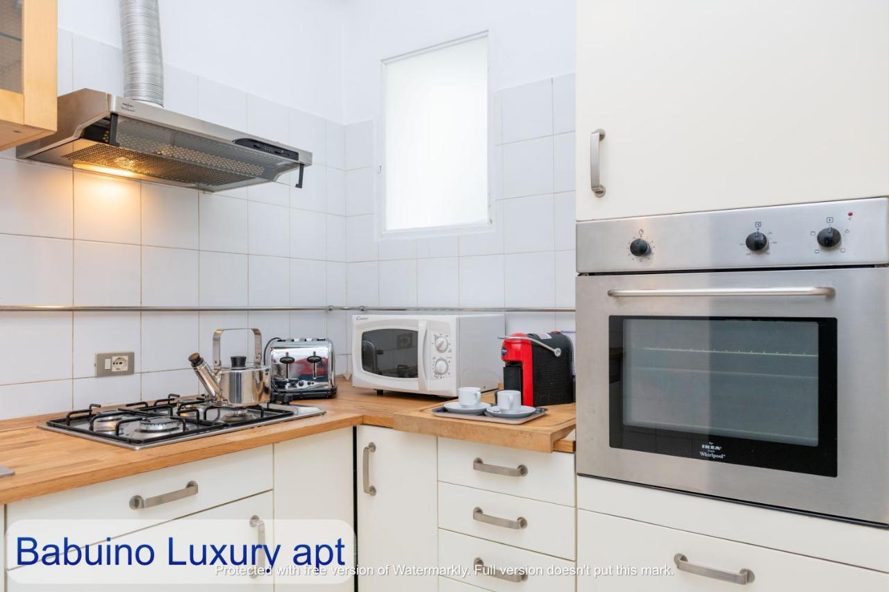 Babuino Apartments - Piazza Di Spagna 罗马 外观 照片