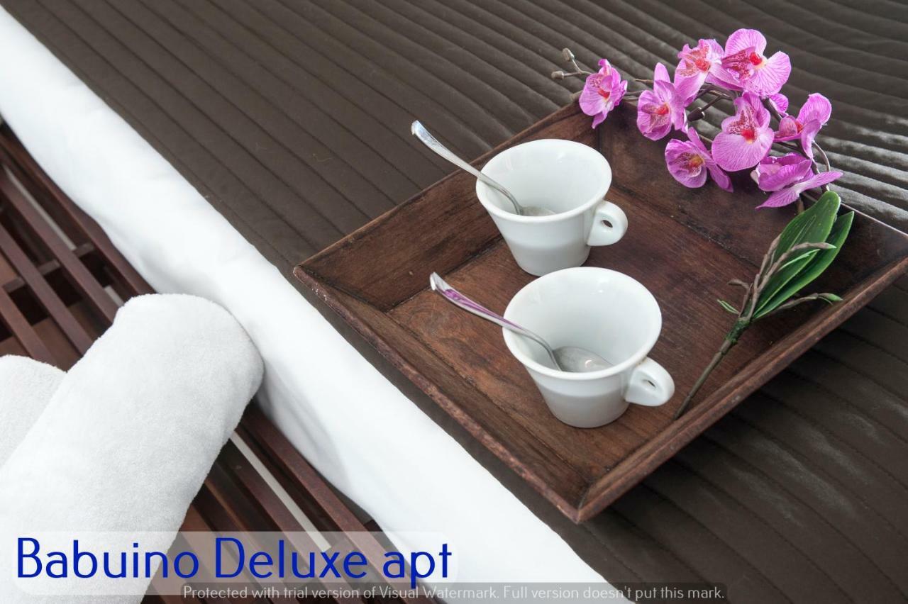 Babuino Apartments - Piazza Di Spagna 罗马 外观 照片