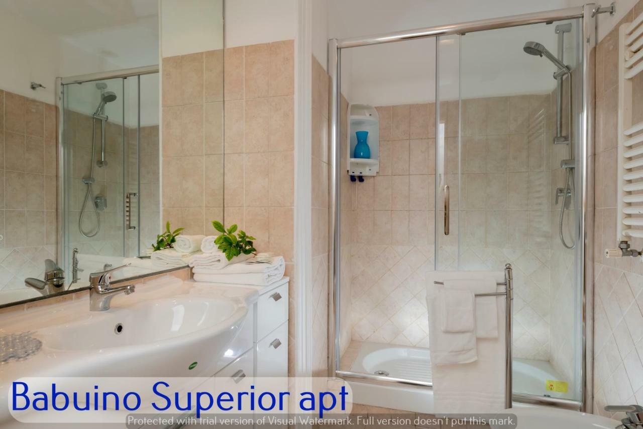 Babuino Apartments - Piazza Di Spagna 罗马 外观 照片