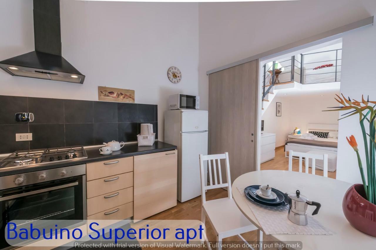 Babuino Apartments - Piazza Di Spagna 罗马 外观 照片