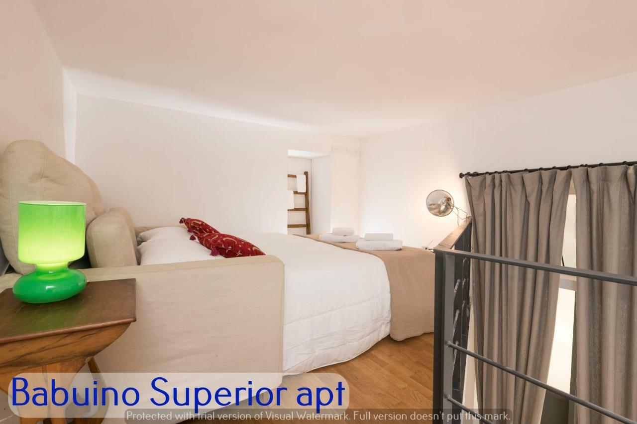 Babuino Apartments - Piazza Di Spagna 罗马 外观 照片