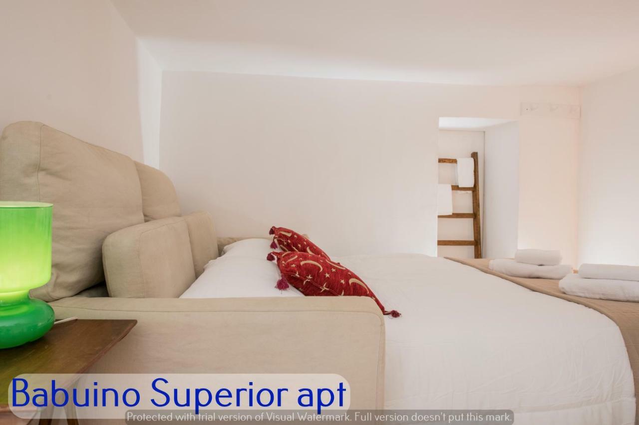 Babuino Apartments - Piazza Di Spagna 罗马 外观 照片
